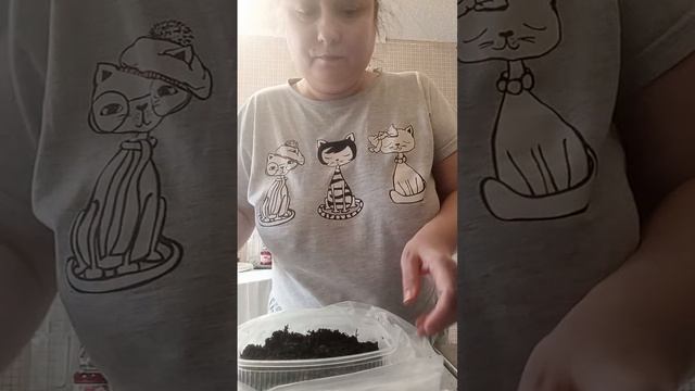 Посадила травку для кошки)