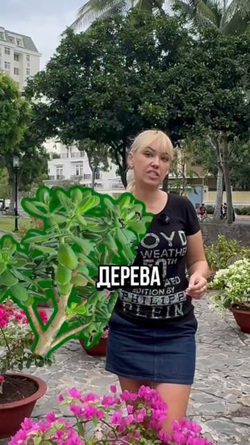 Усиление денежного потока