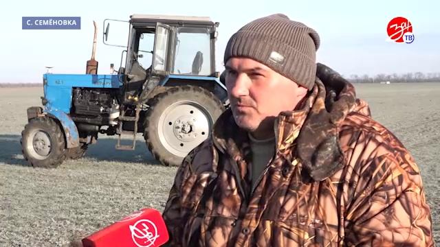 Агротехнологии, используемые для качественного и высокого урожая пшеницы в Запорожской области