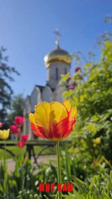 Благословение