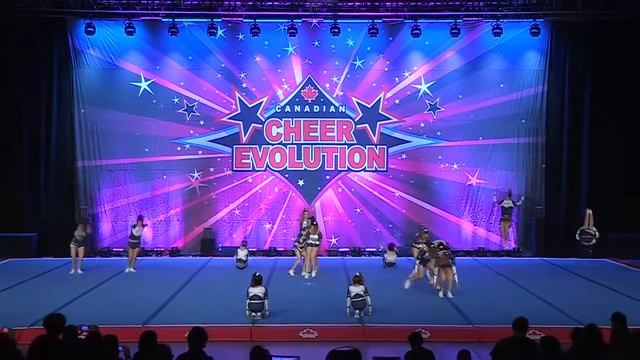 Coyotes  Diva Pack   Junior Small 3