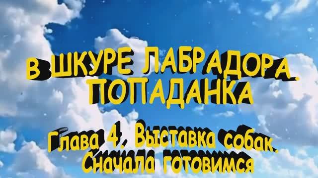 В ШКУРЕ ЛАБРАДОРА. ПОПАДАНКА. Глава 4. Выставка собак. Сначала готовимся