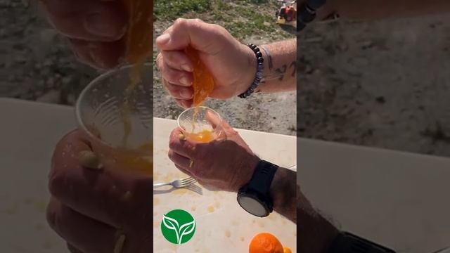 [ТОВАР ТУРЦИЯ] TR SKU 1 Tangerine Mandora СОК ОДНОГО ПЛОДА
