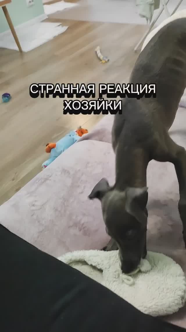 Странная реакция