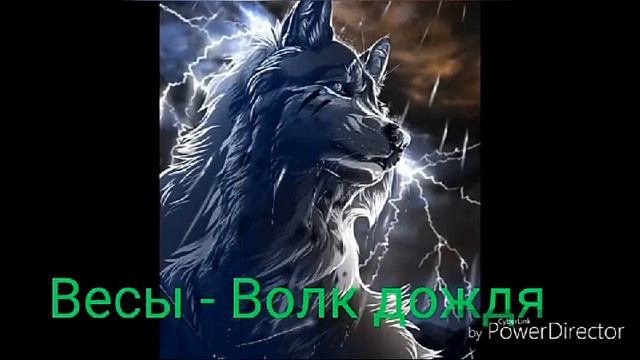 Какой ты волк по зз