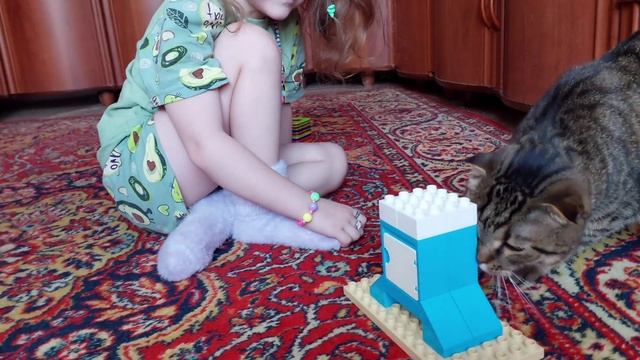 Пранк над котом