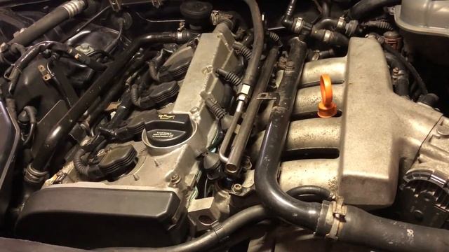 audi a4 b6 idle startup & revving