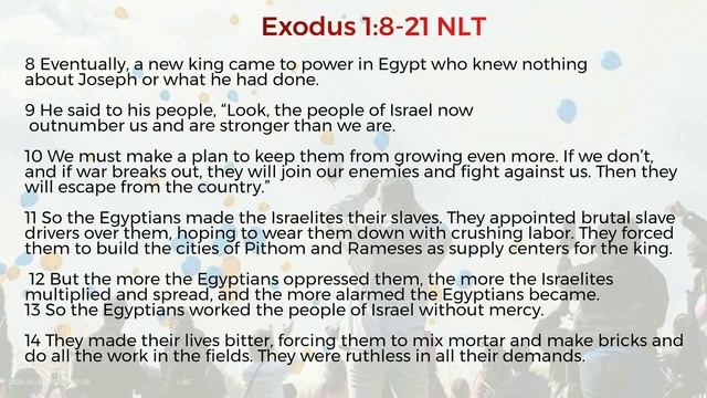Celebrating Survival Exodus 1:8-21