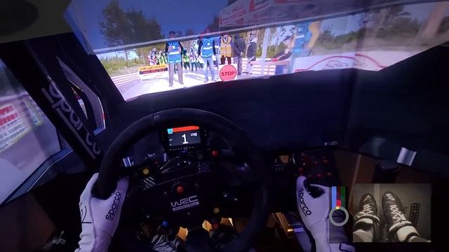 Richard Burns Rally | Rally Portugal POV | Citroen DS3 WRC