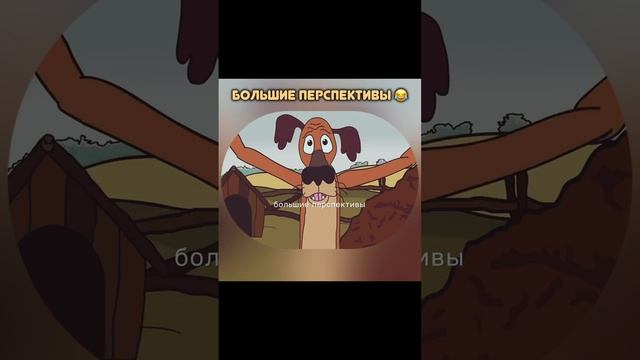 Большие перспективы