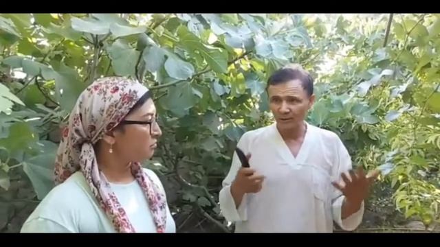 .АКИДА ХОНИМ.. МЕХМОНДА.БОГЛАРИМИЗДА... ГОСТИ ПОДПИСЧИКИ