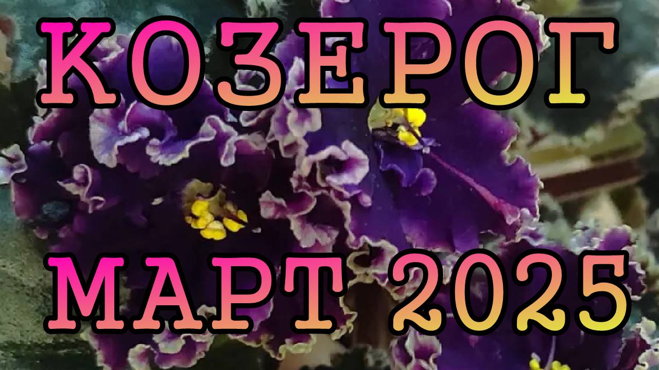 КОЗЕРОГ таро прогноз на МАРТ 2025 года.