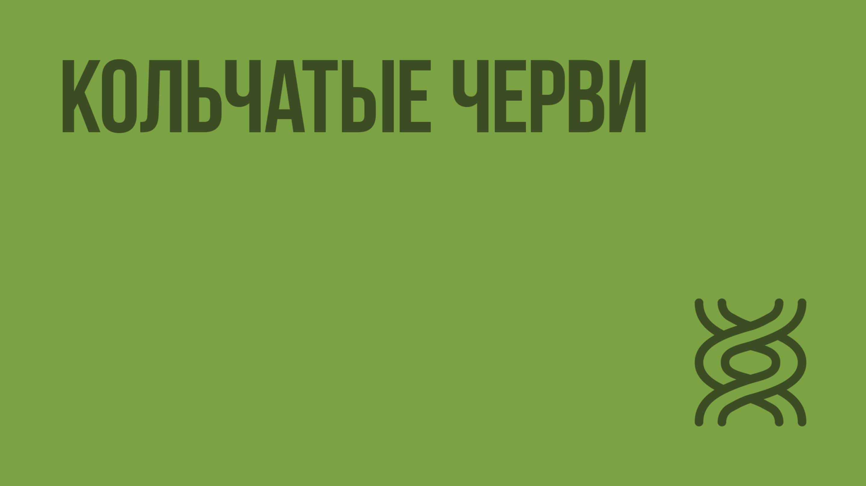 Кольчатые черви. Видеоурок по биологии 7 класс