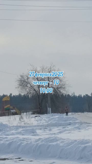 27февраля2025