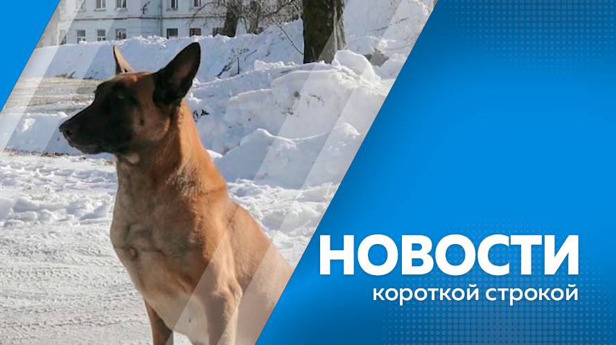КОРОТКИЕ  НОВОСТИ  27.02.25
