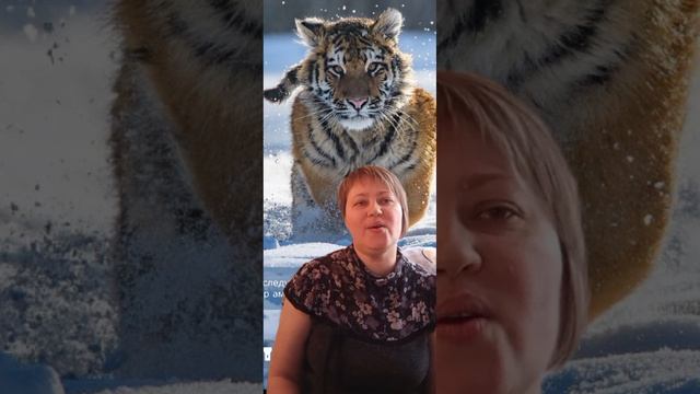 "Настанет день" Оксана Светличная