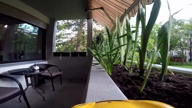 RC Porsche 918 Spider and a GoPro