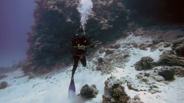 Flynn Reef Australia