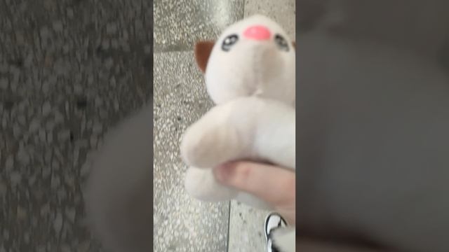 школа