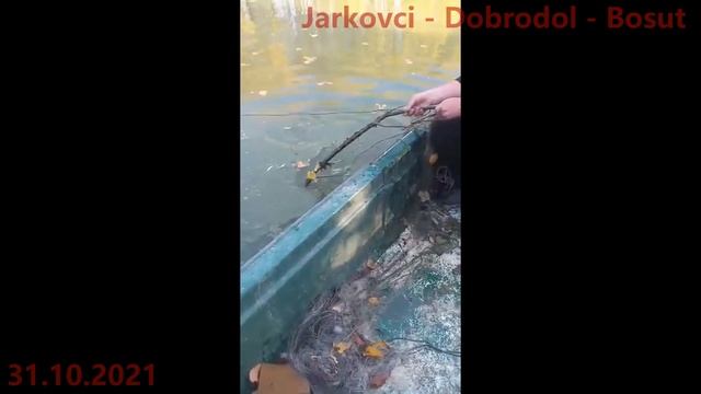 Jarkovci - Dobrodol - Bosut, tereni i ribočuvarska blic akcija ( foto + video)