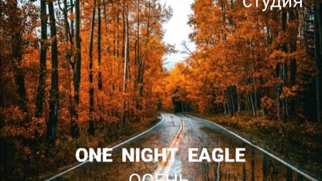 ONE  NIGHT  EAGLE. Осень. Студия