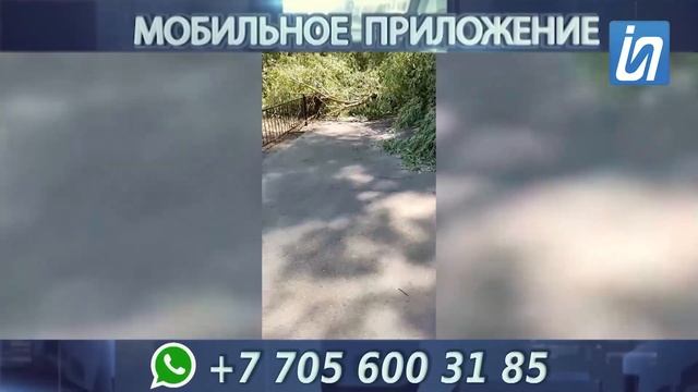 Новости 4.07.23