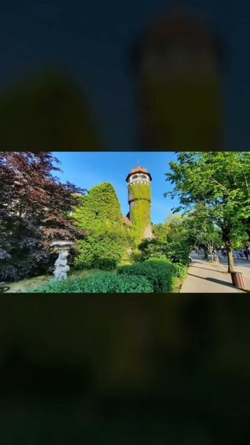 Мини-отель Каюты Капитана Немо в Светлогорске Бронируй на Островок ру #татьянатаранцова
