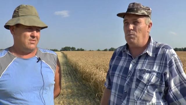 Стимиксы на полях Воронежской и Тамбовской областей