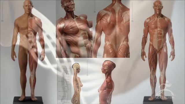 ZBrush in 3D Printing