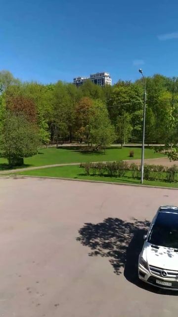 Дубки 6 49м