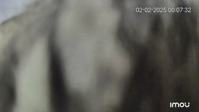 27-02-2025