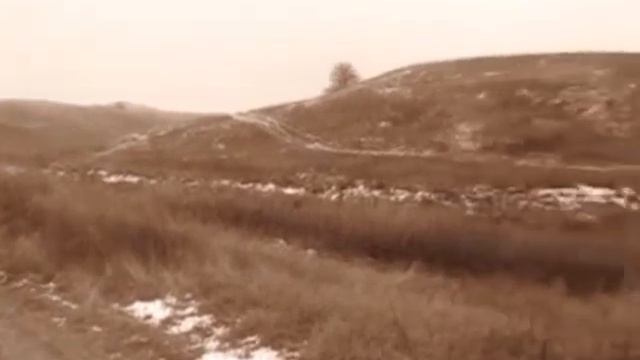 Охота на пушного зверя в Оржицком районе