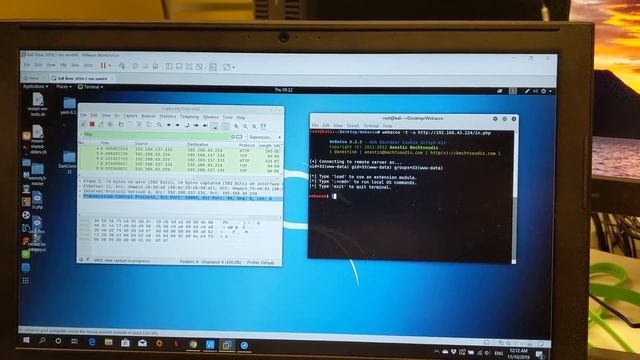 Successful attacker connectivity with the Smart Home (Wireshark Capture)