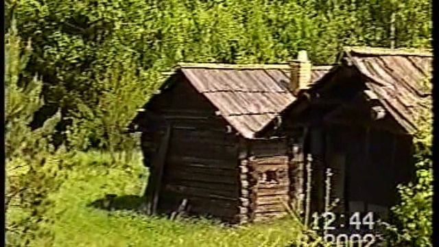 Красный бор (WMV)