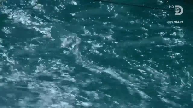 Золотая лихорадка. Бурные воды. 3 сезон. 5 серия. Золотой день рождения