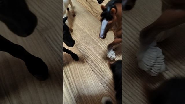 подготовка к сериалу шляйх