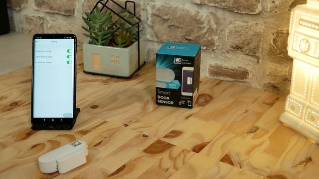 LSC SMART CONNECT : Capteur de porte connectée des magasins Action / Compatible ALEXA et GOOGLE HOM