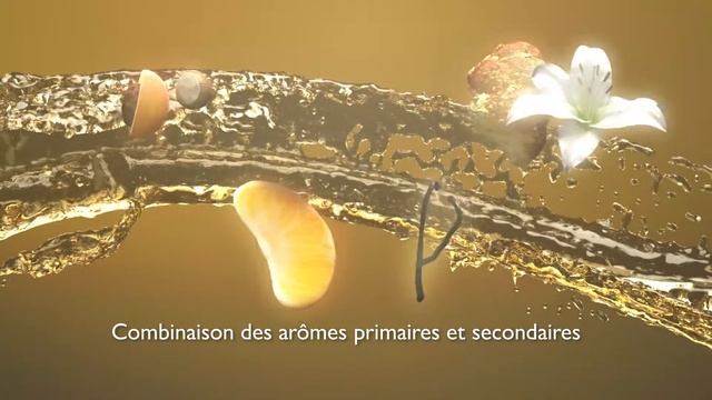 Chef&Sommelier - Macaron Mobius  [FR]