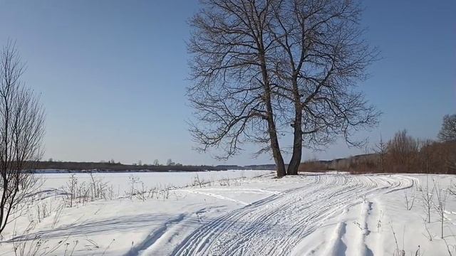 Солнце в феврале.