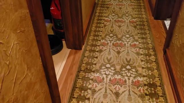 Ted the Roomba