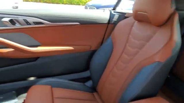 2019 BMW 8 Series Daytona, Palm Coast, Port Orange, Ormond Beach, FL BX39211