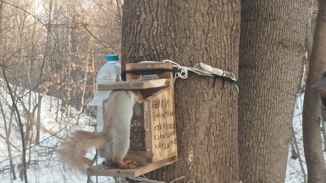 Сломался Фотоаппарат. Сижу Грустю