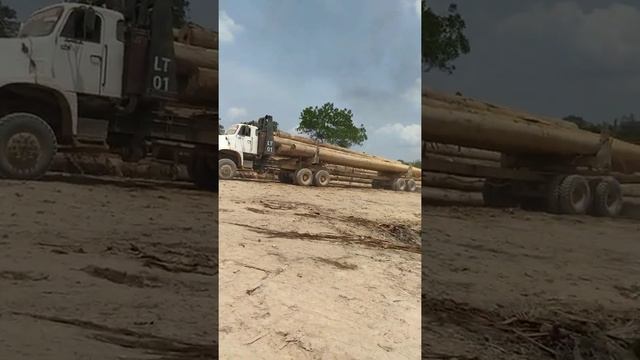 Volvo NL 12 Pengangkut kayu log