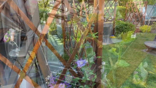 Обработка роз🌹 Покупки в OBI😉Средство от слизней👍