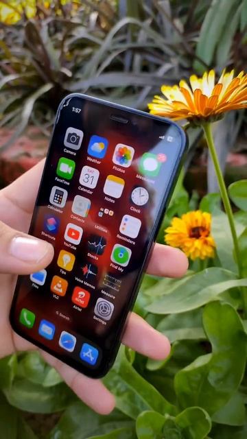 पतली कमरिया मोरी 🤣🤣|iphone12 mini 2022 #batteryhealth|#camera #review #short #shortsfeed #iphone12