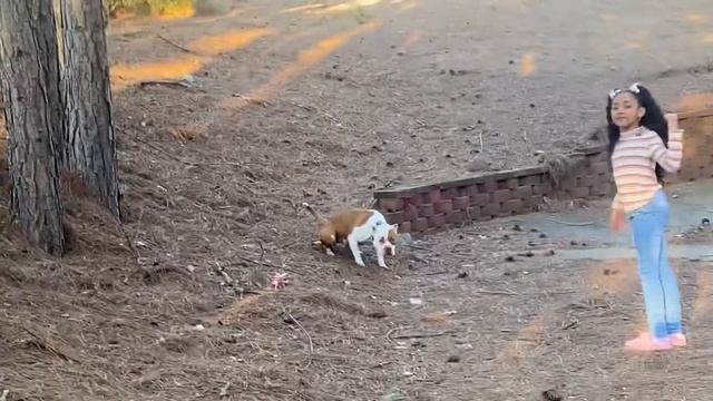 The Dog trying to get Us