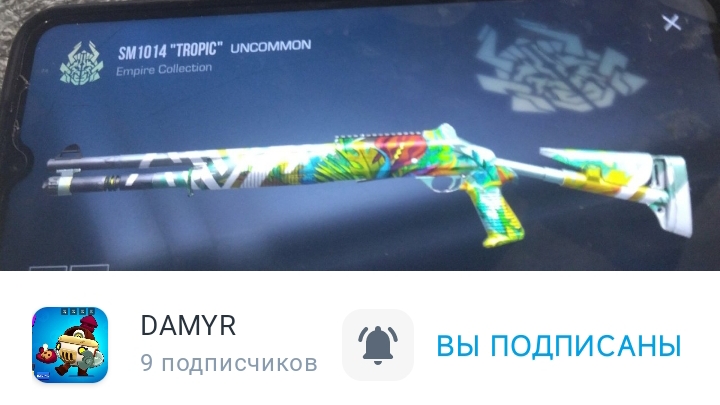 подпишитесь на моего брата