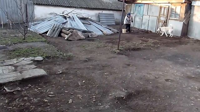 Переехали на Юг//Уборка территории//Всё только начинается.
