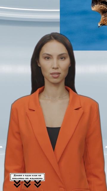 На Кузбассе коршуны утаскивают с собой в небо щенков и котят #shorts