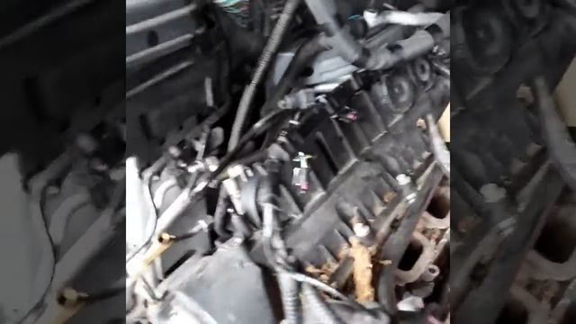 2014 Range Rover fuel injector